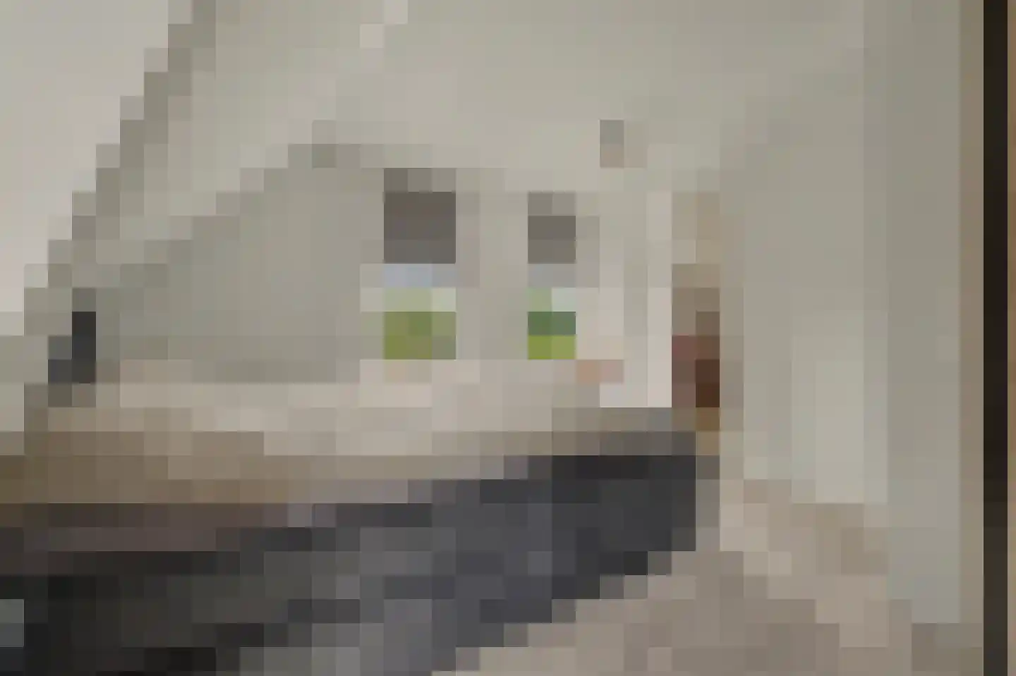 Lange Blokweg 27 Zierikzee thumbnail 22