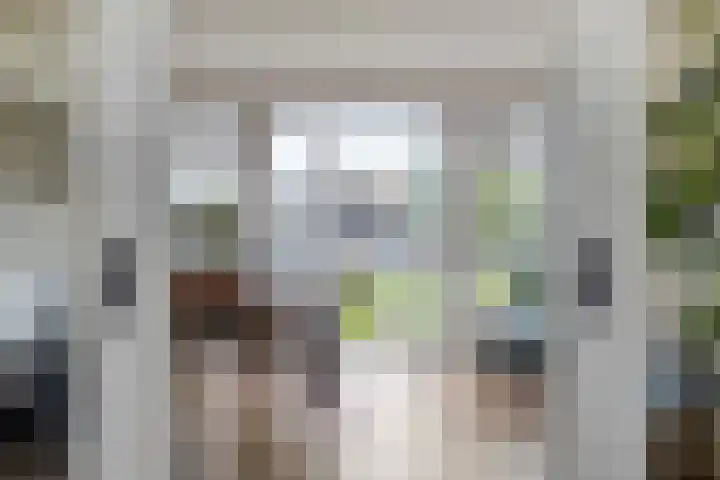 Lange Blokweg 46 Zierikzee thumbnail 11
