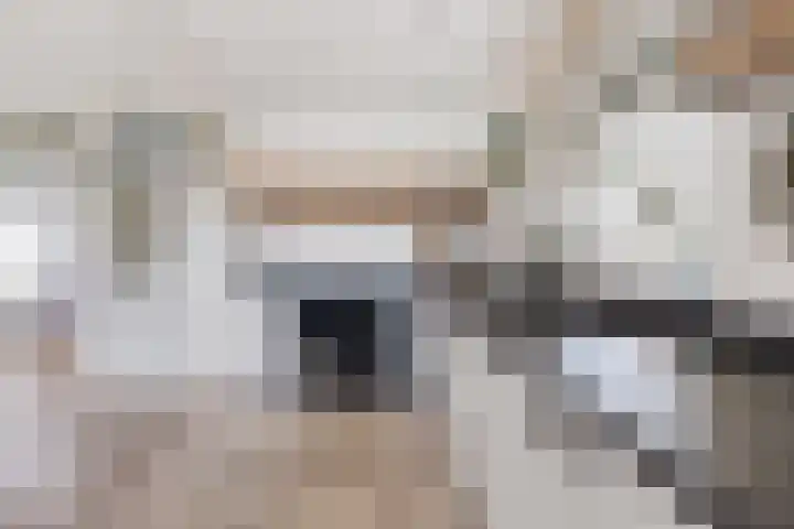 Lange Blokweg 46 Zierikzee thumbnail 17