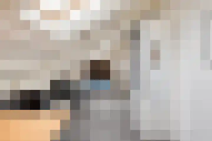 Lange Blokweg 46 Zierikzee thumbnail 34