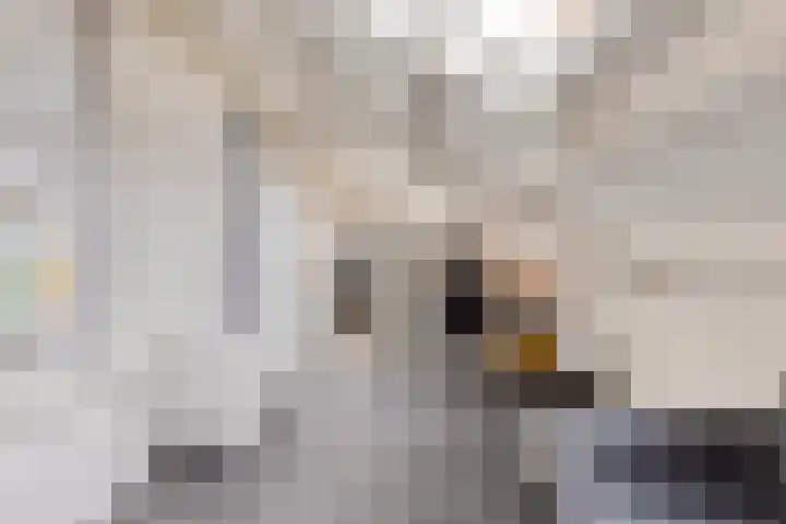 Lange Blokweg 46 Zierikzee thumbnail 35