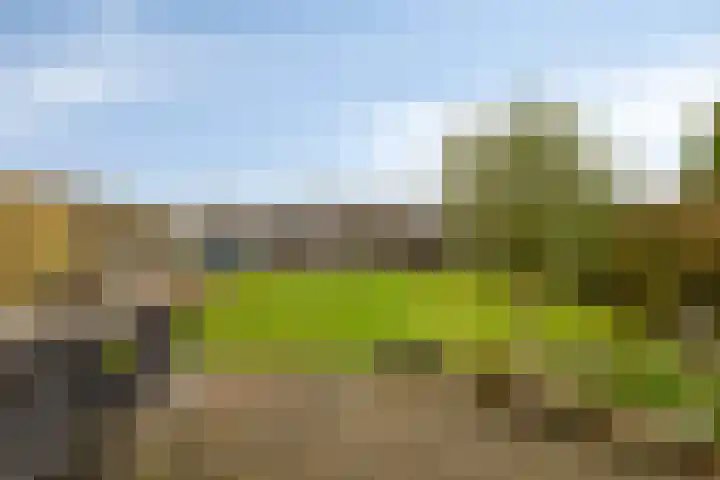 Lange Blokweg 46 Zierikzee thumbnail 39