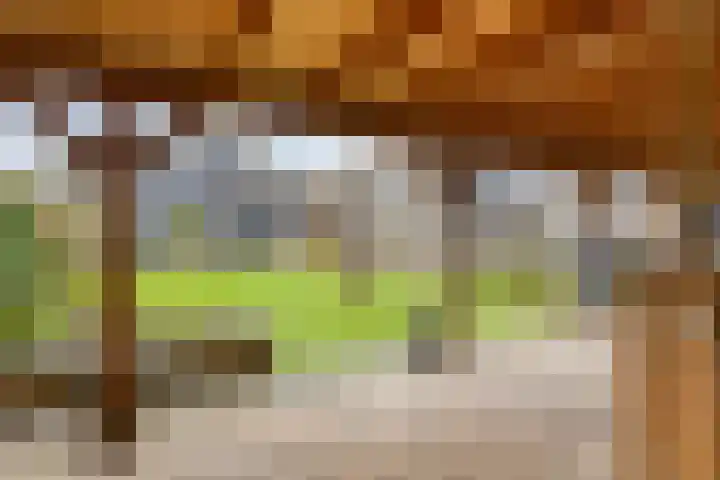 Lange Blokweg 46 Zierikzee thumbnail 48