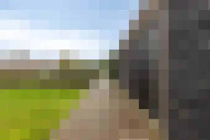 Lange Blokweg 46 Zierikzee thumbnail 53