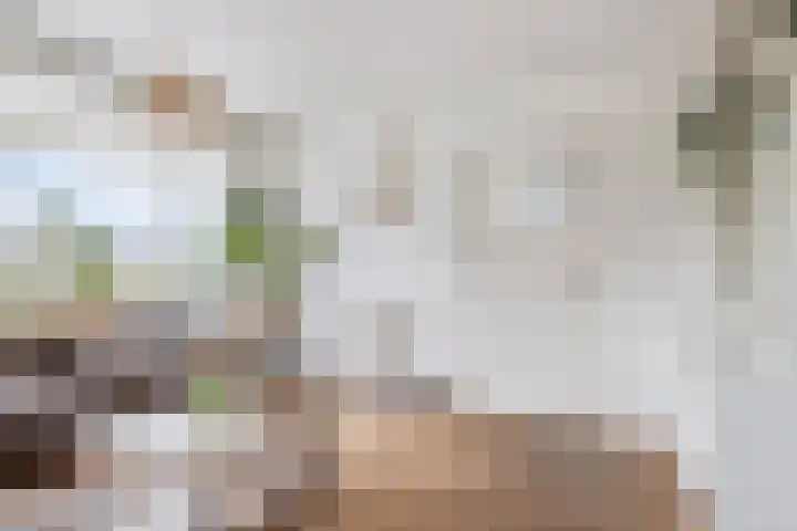 Lange Blokweg 46 Zierikzee thumbnail 9