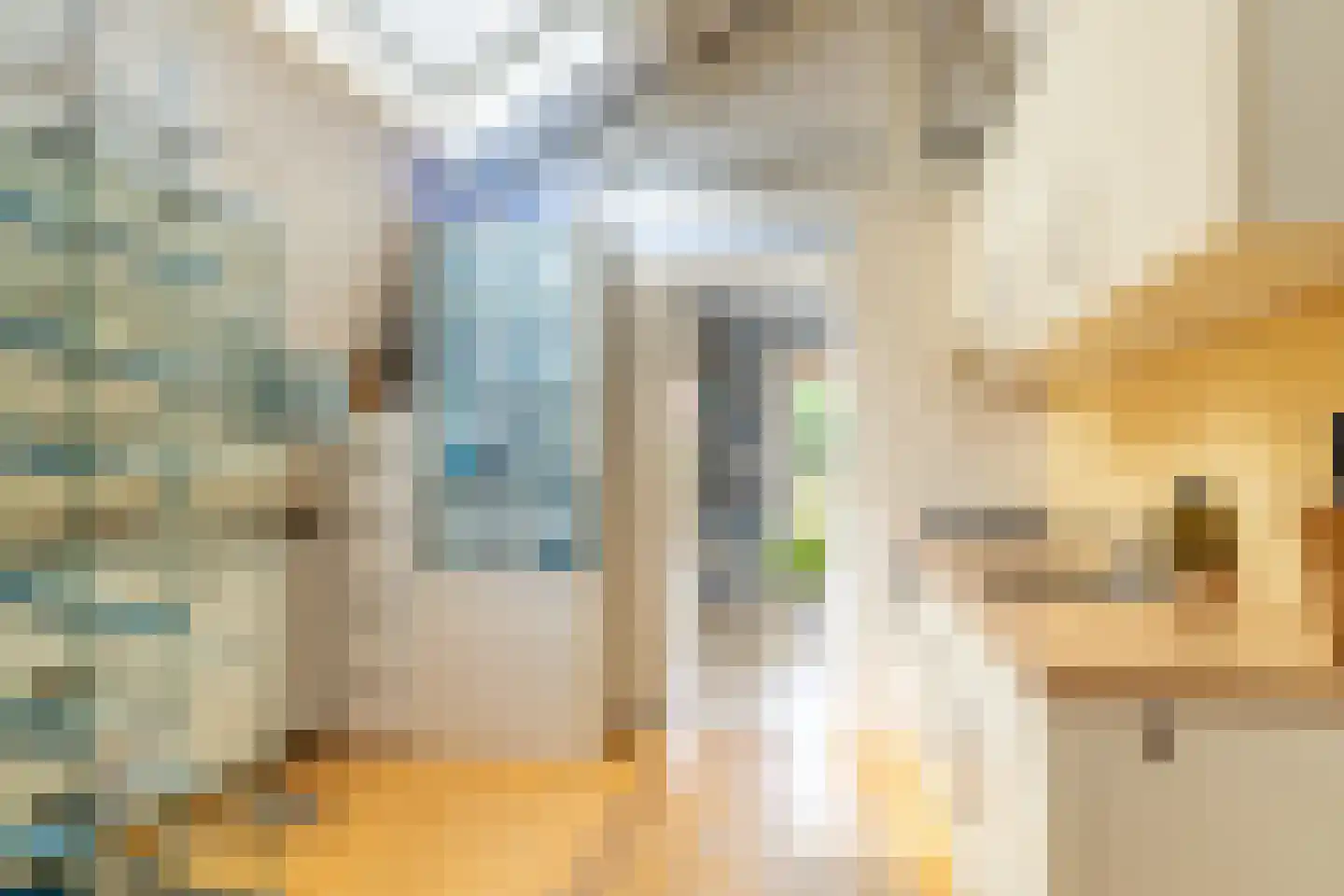 Lange Bogaardstraat 14 A Haarlem thumbnail 14