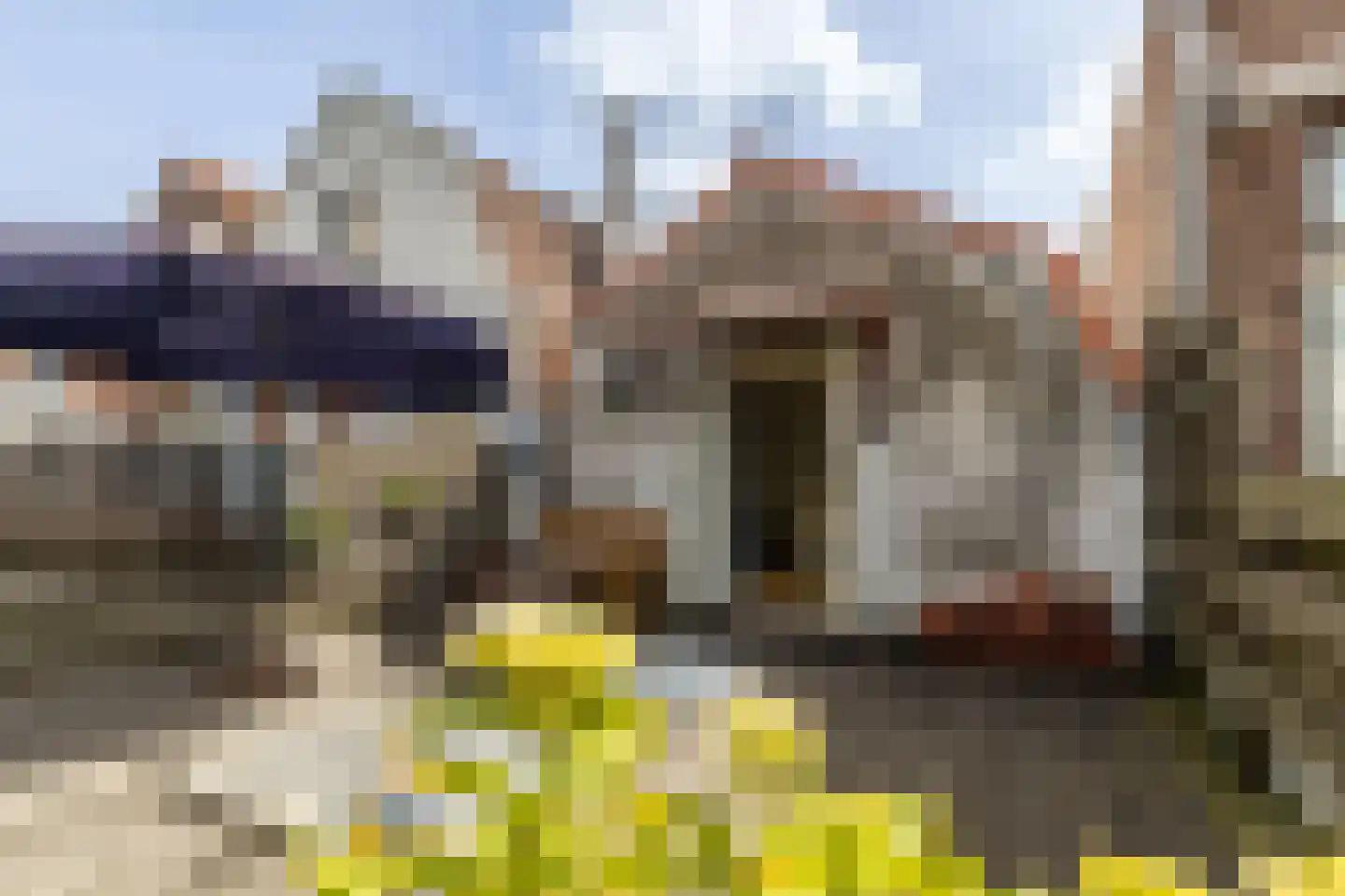 Lange Bogaardstraat 14 A Haarlem thumbnail 20