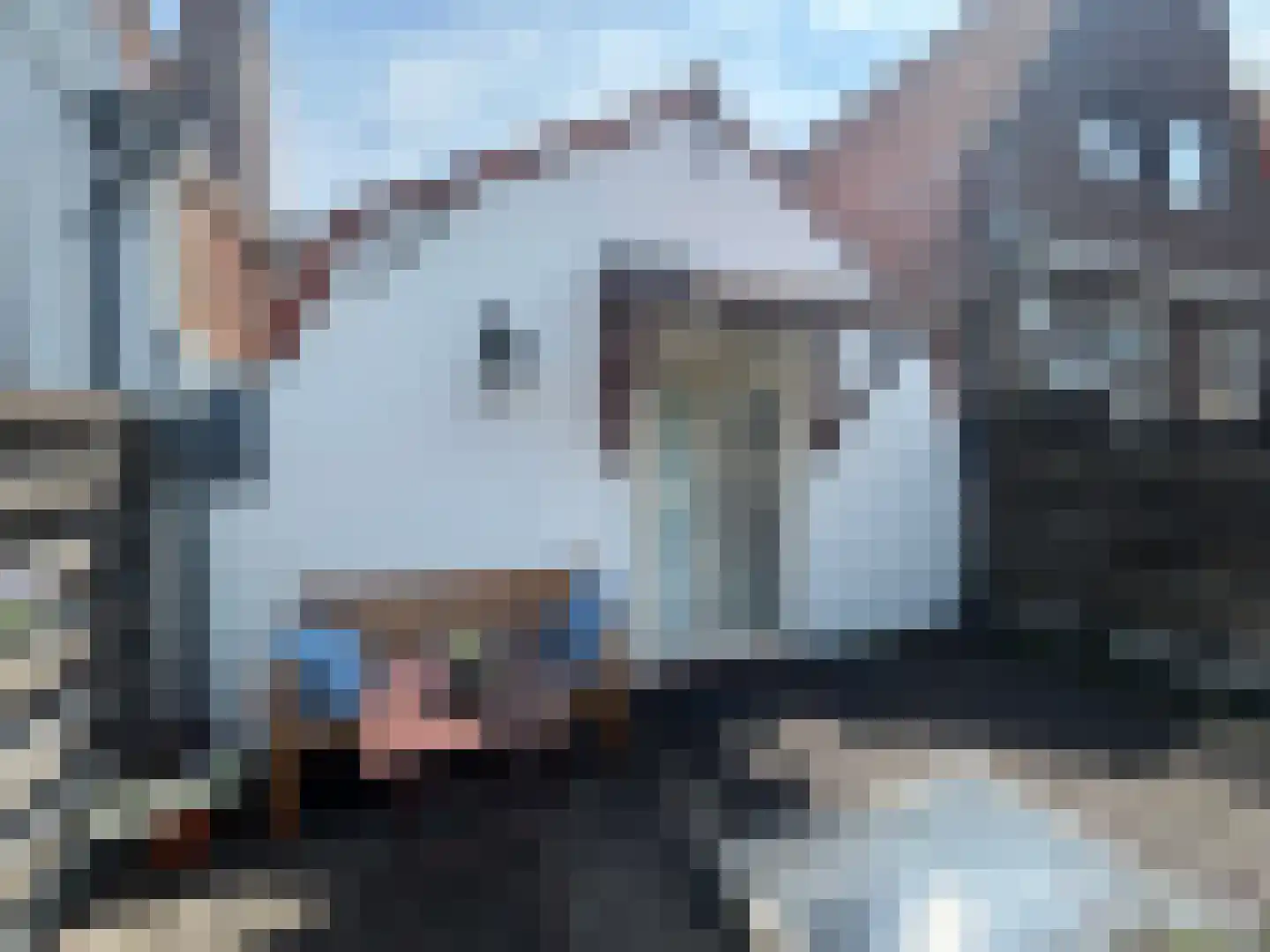 Lange Bogaardstraat 14 A Haarlem thumbnail 22