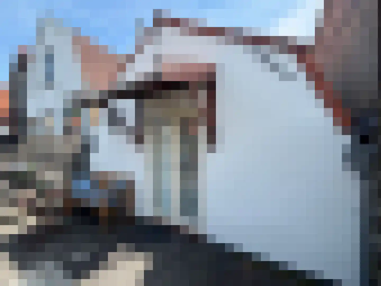 Lange Bogaardstraat 14 A Haarlem thumbnail 25