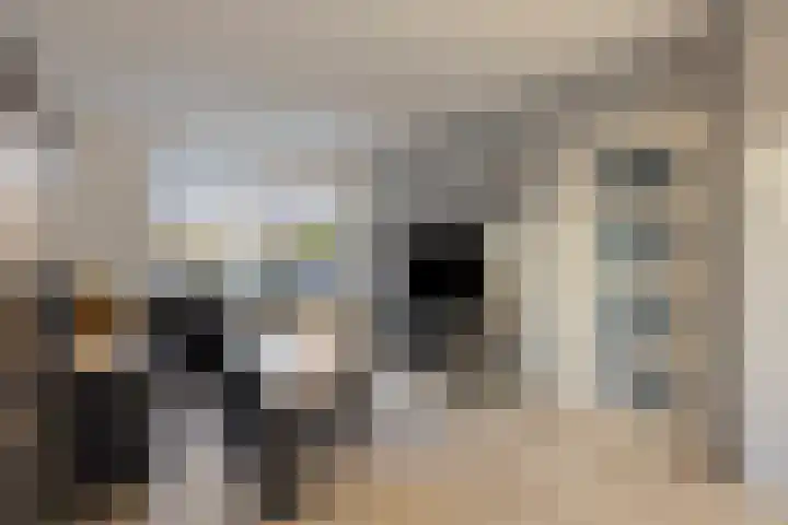 Lange Boomgaard 19 Abbenbroek thumbnail 10