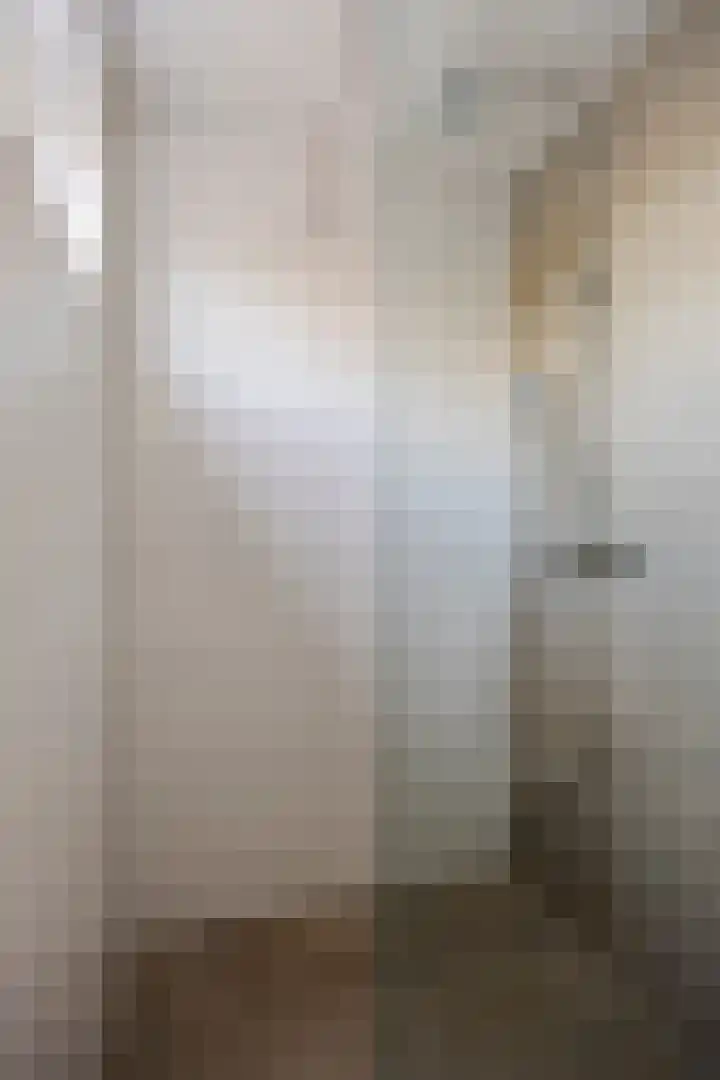 Lange Boomgaard 19 Abbenbroek thumbnail 17