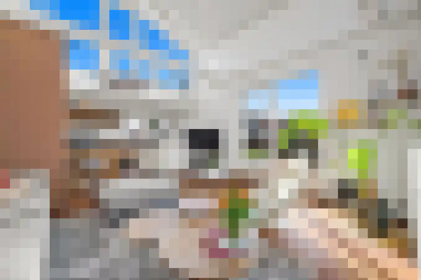 Lange Boonestraat 52 Maassluis thumbnail 8