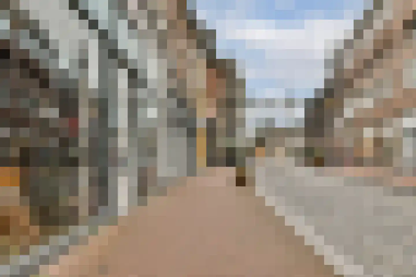 Lange Breestraat 15 Dordrecht thumbnail 20