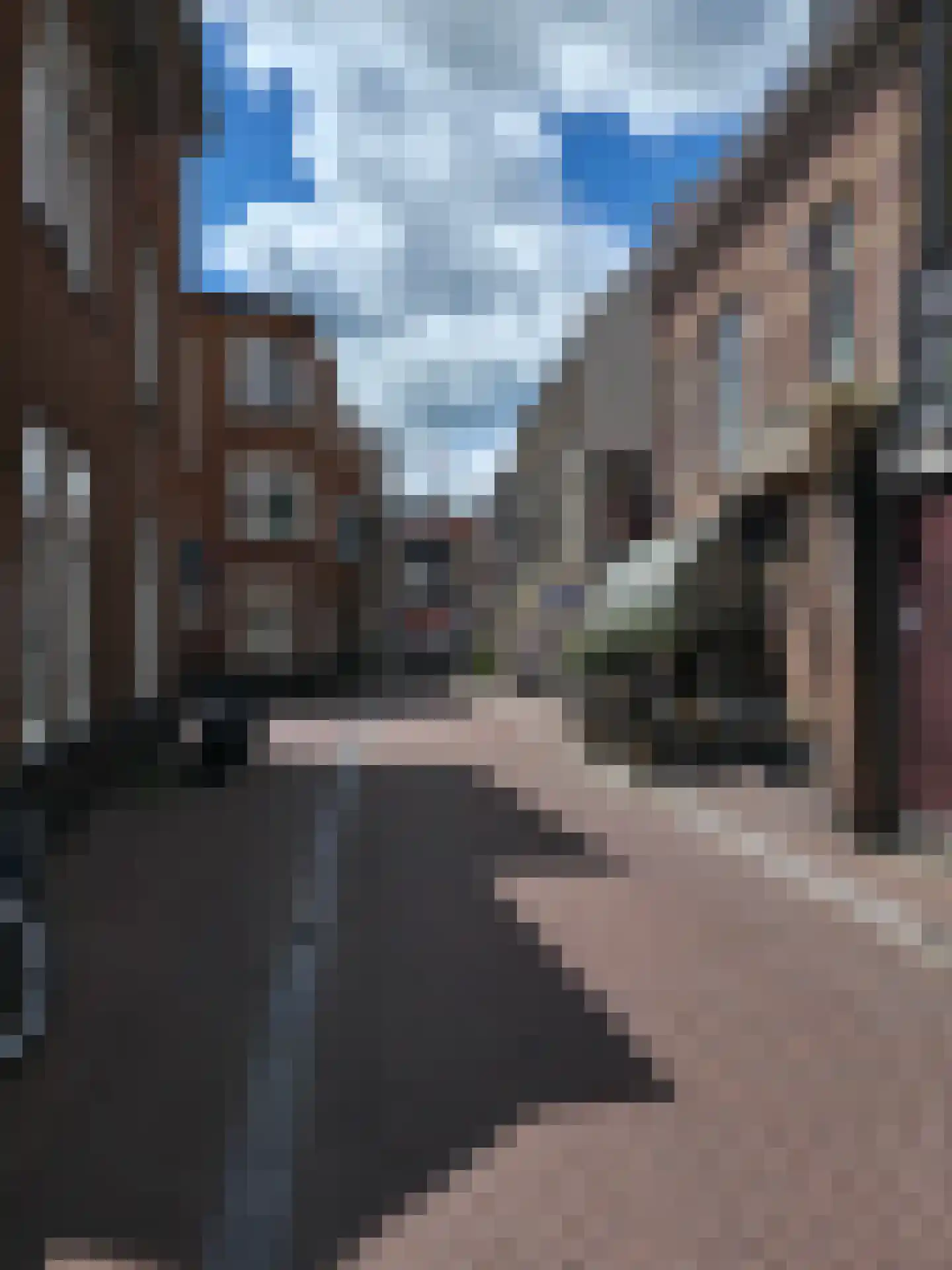 Lange Breestraat 15 Dordrecht thumbnail 20