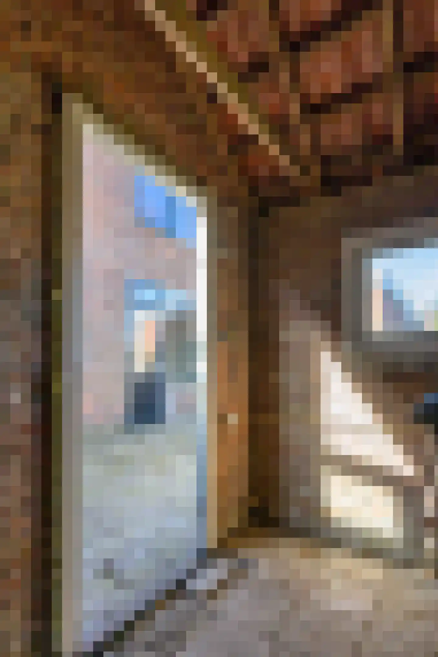 Lange Brink 17 Luttelgeest thumbnail 17