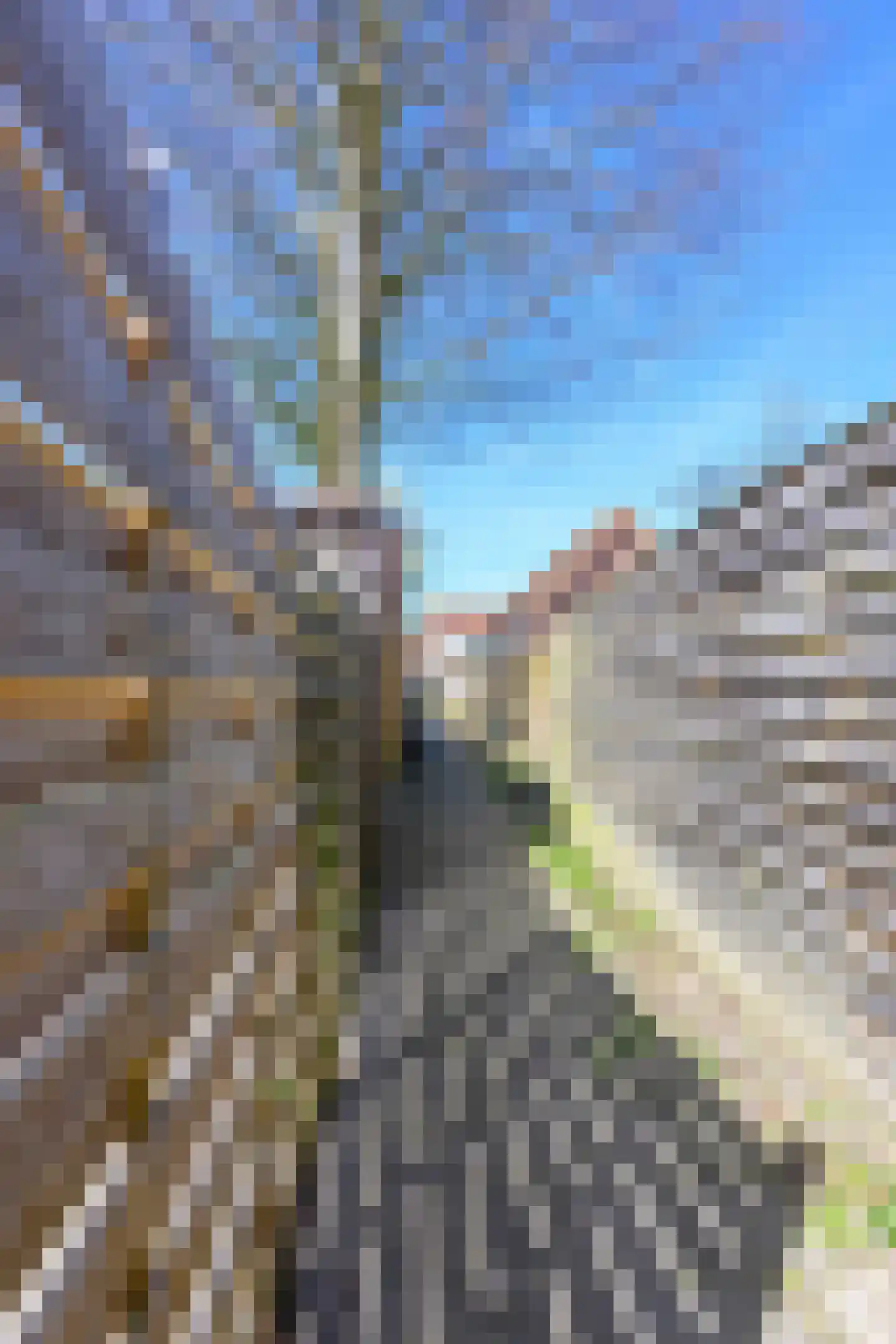 Lange Brink 17 Luttelgeest thumbnail 21
