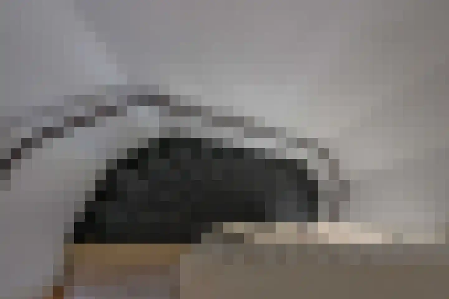 Lange Brink 17 Luttelgeest thumbnail 30