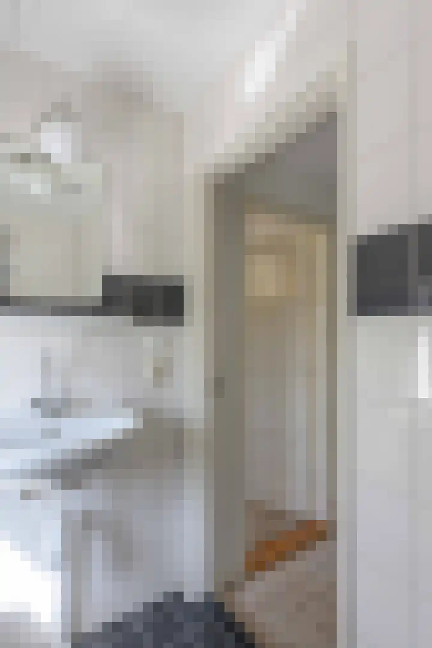 Lange Brink 17 Luttelgeest thumbnail 39