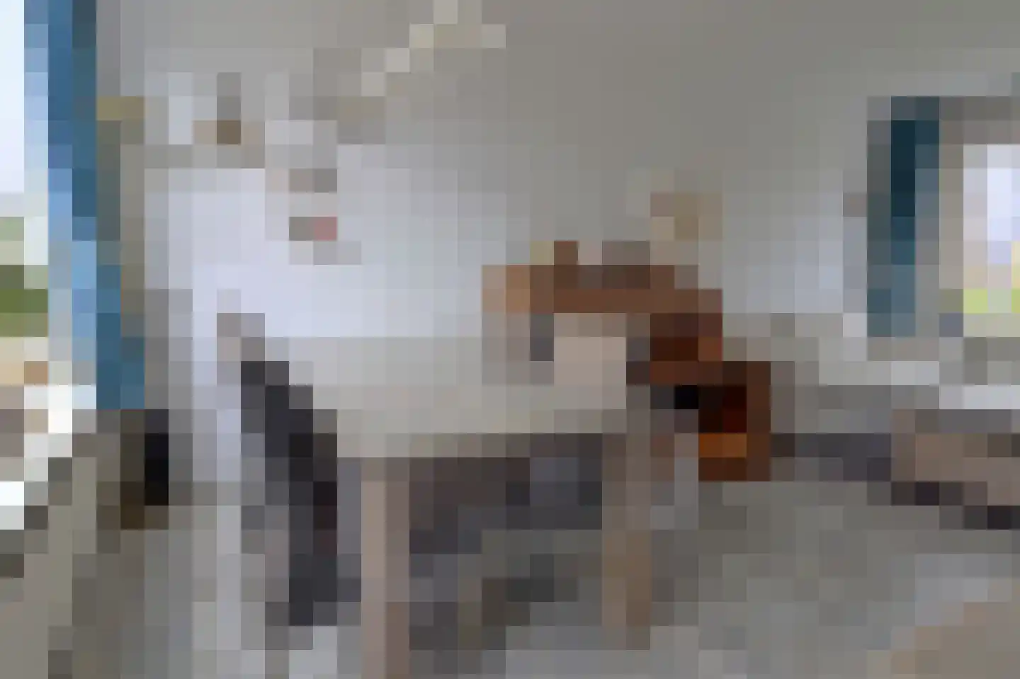 Lange Brink 18 Luttelgeest thumbnail 12