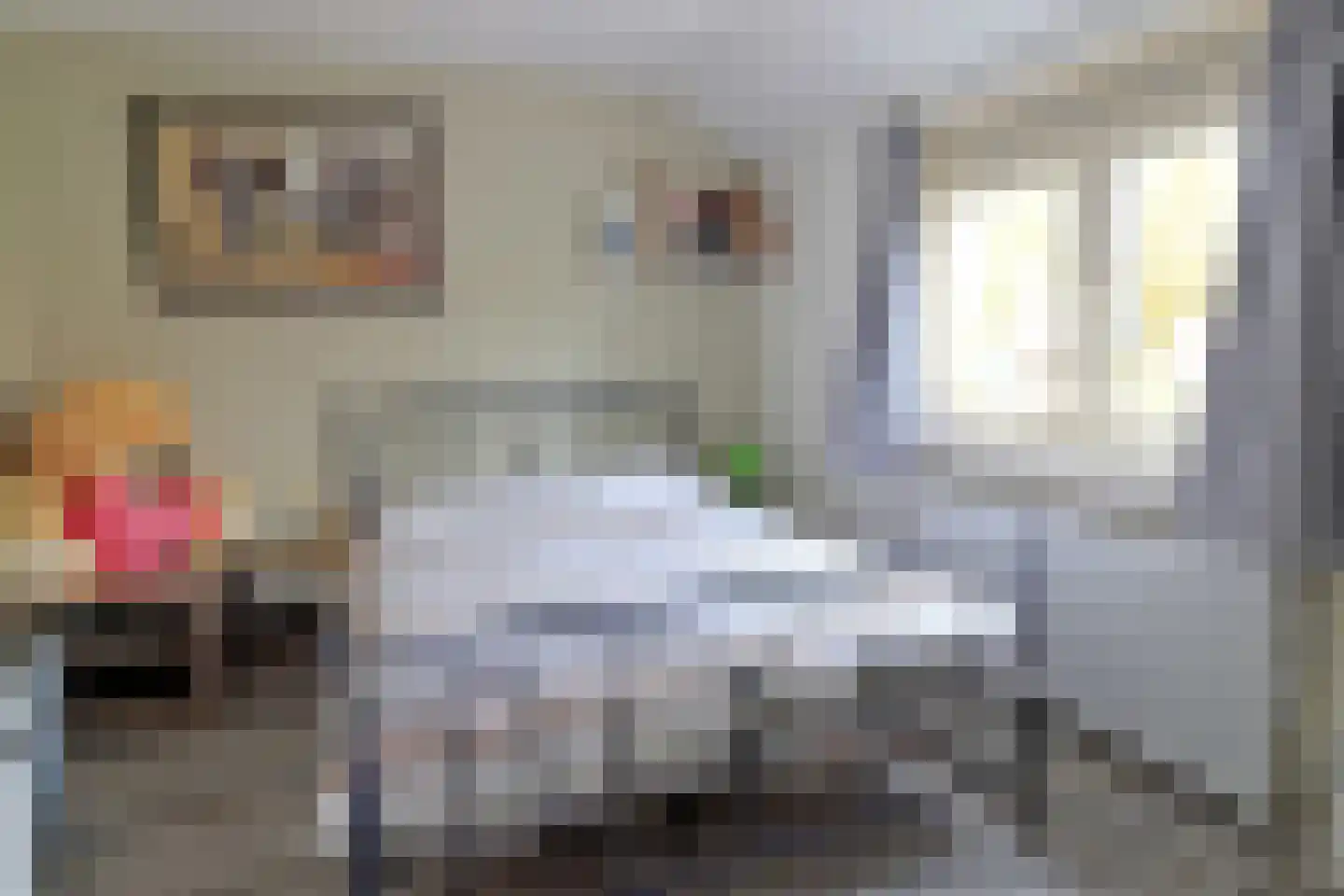 Lange Brink 18 Luttelgeest thumbnail 17