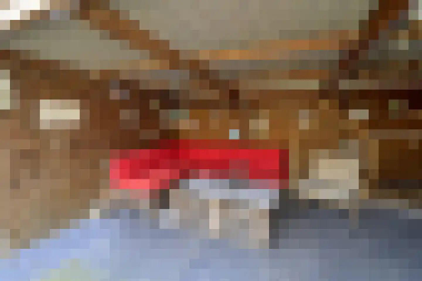 Lange Brink 18 Luttelgeest thumbnail 22