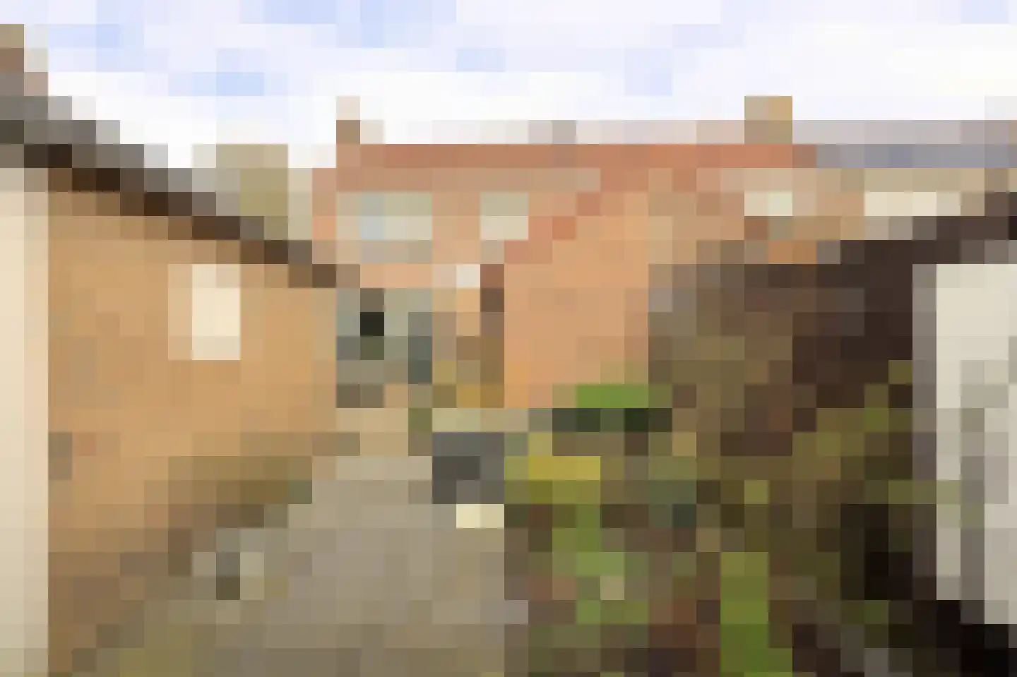 Lange Brink 18 Luttelgeest thumbnail 24