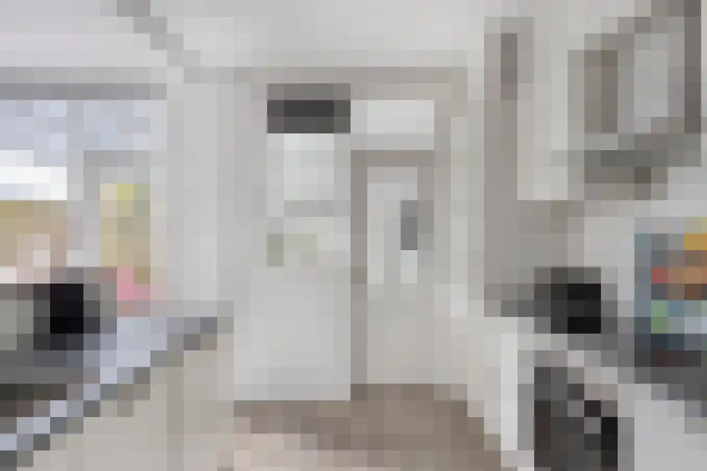 Lange Brink 36 Luttelgeest thumbnail 13
