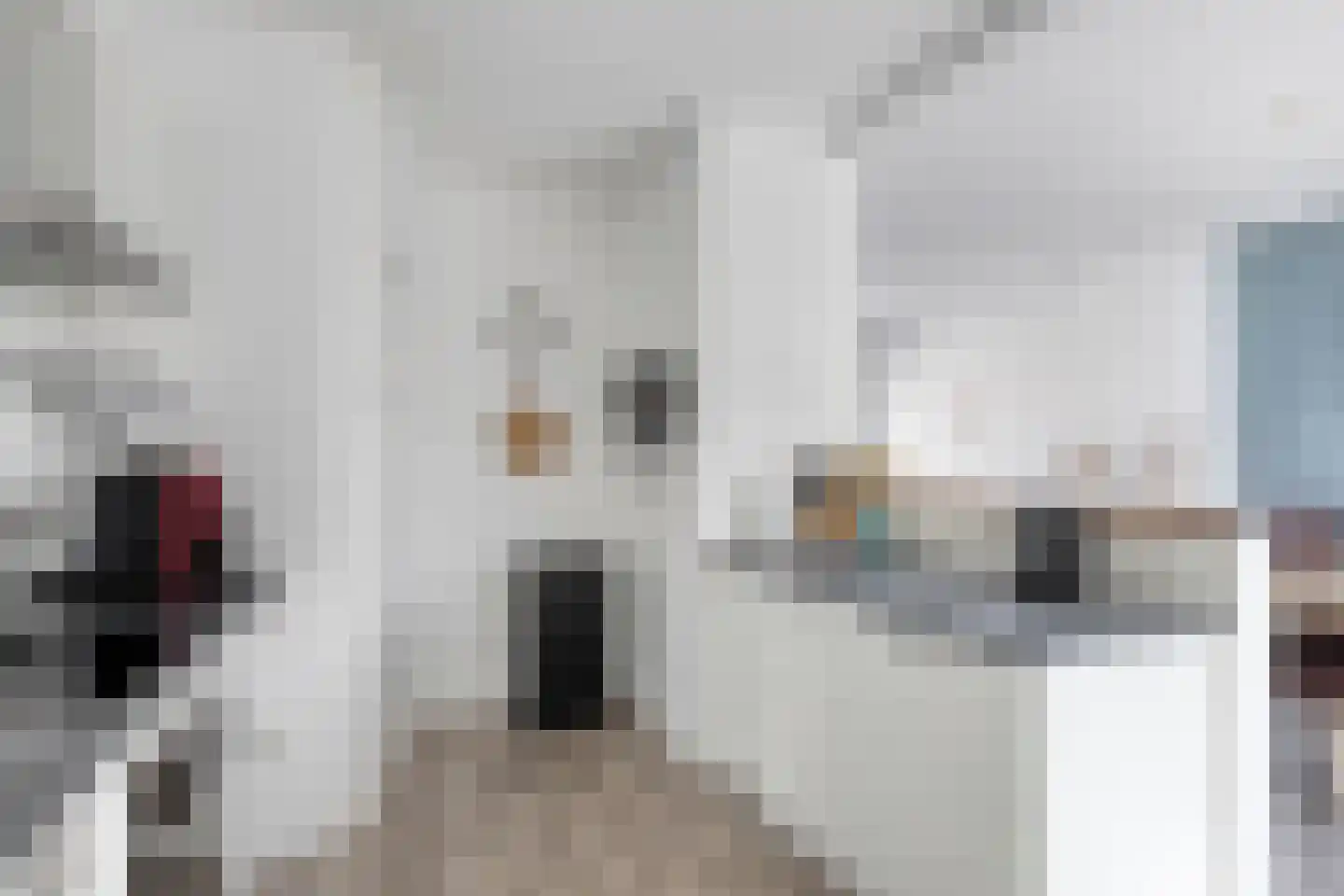 Lange Brink 36 Luttelgeest thumbnail 15
