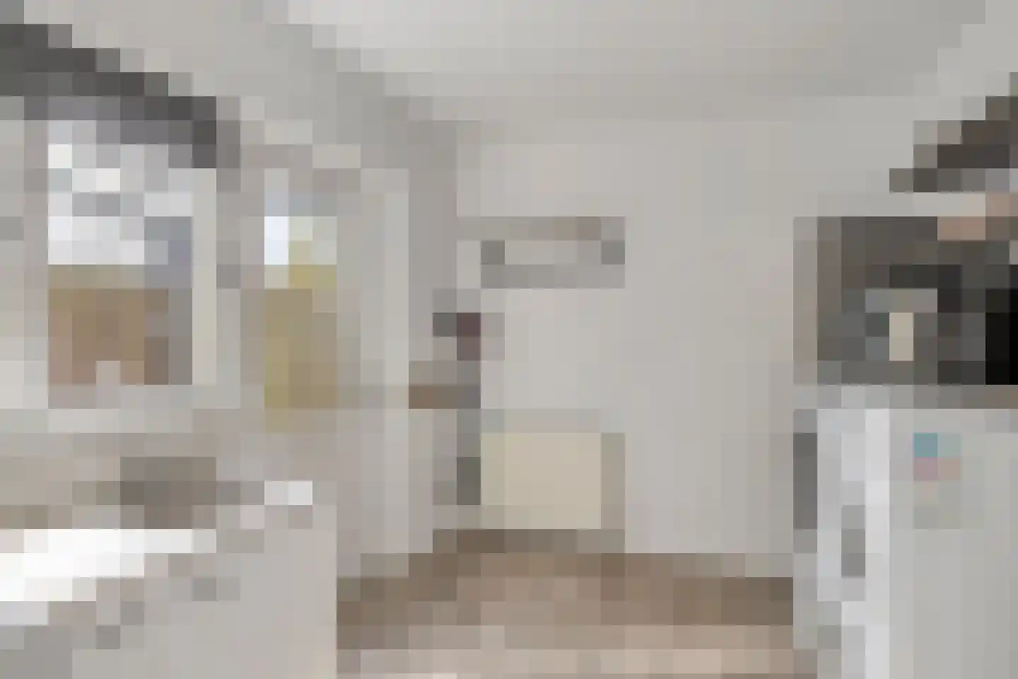 Lange Brink 36 Luttelgeest thumbnail 16