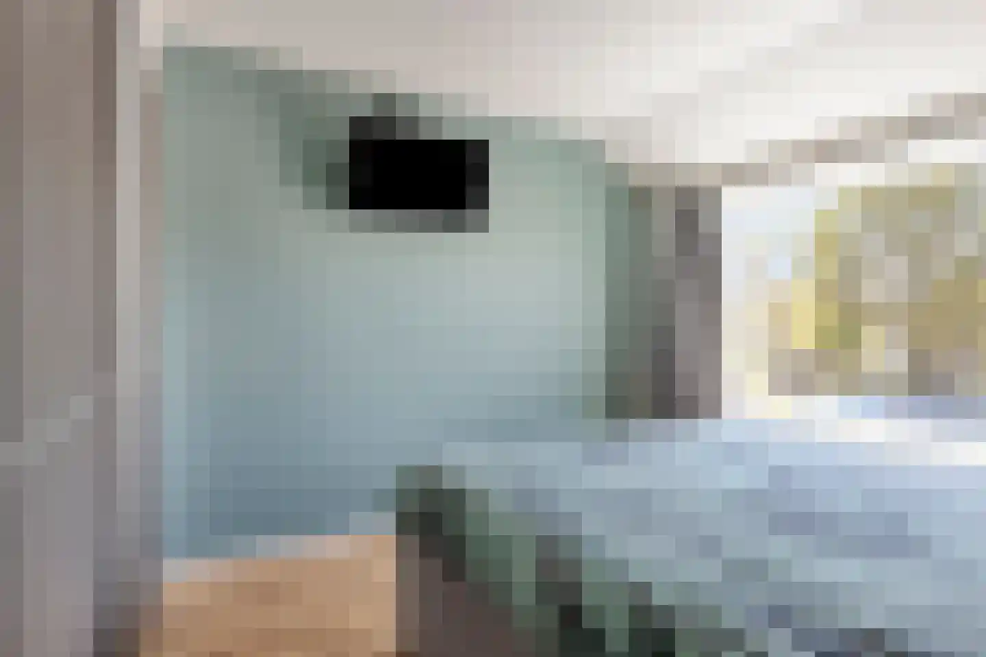 Lange Brink 36 Luttelgeest thumbnail 18