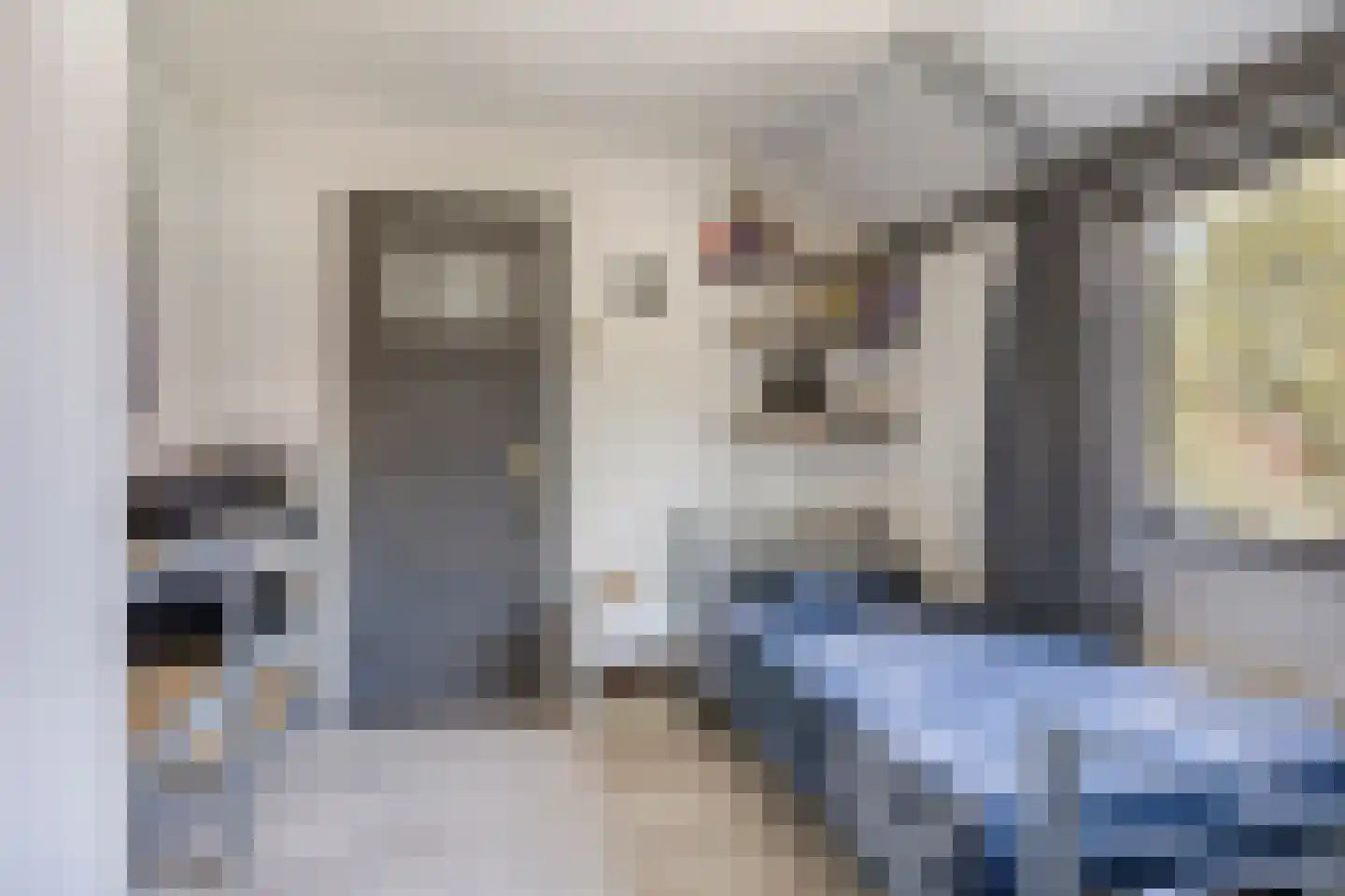 Lange Brink 36 Luttelgeest thumbnail 23