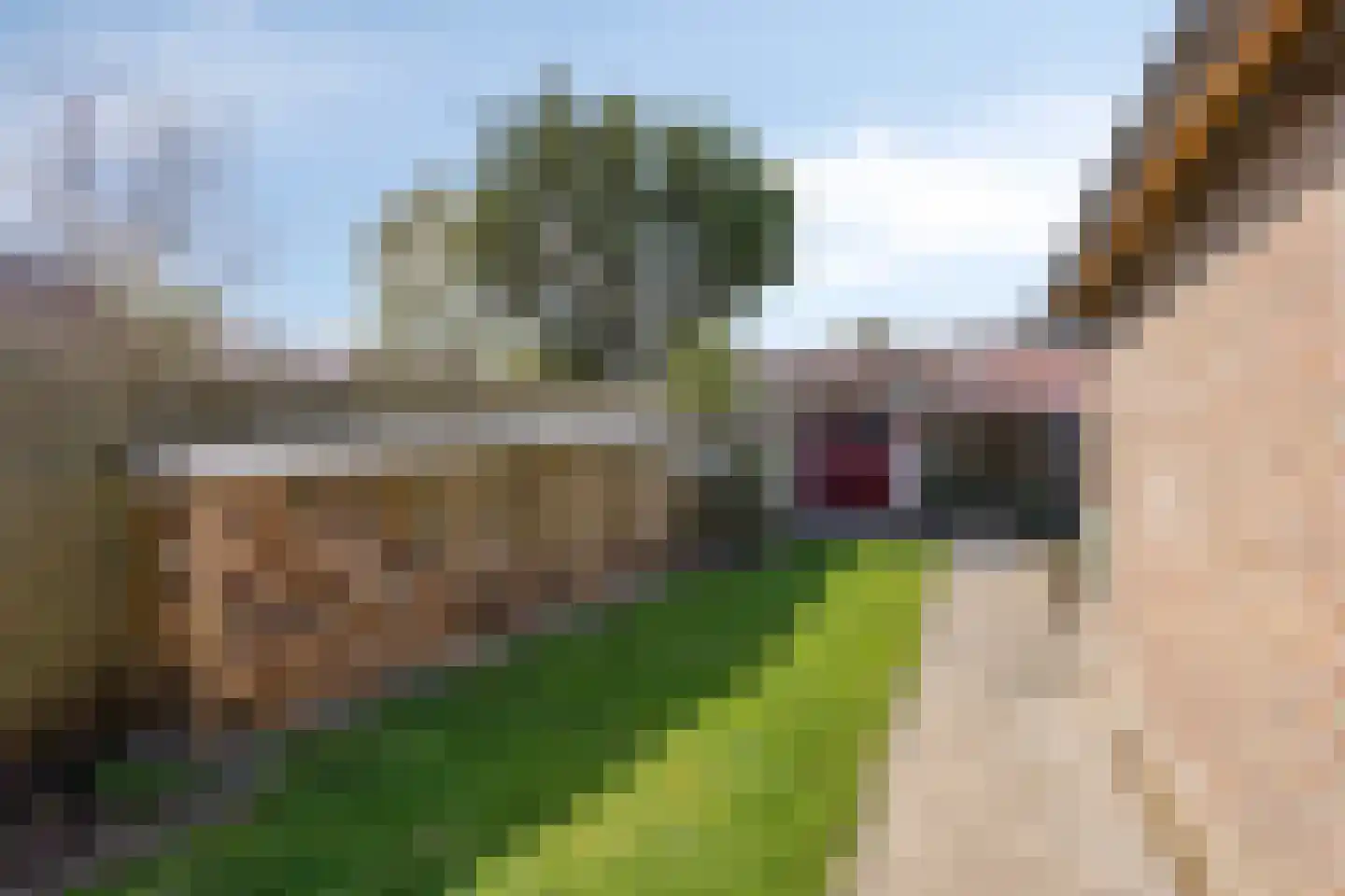 Lange Brink 36 Luttelgeest thumbnail 27
