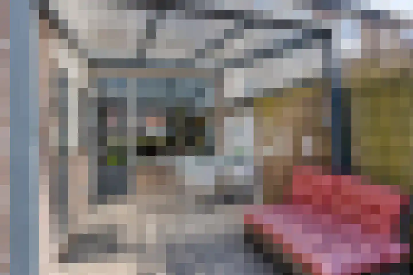 Lange Brink 36 Luttelgeest thumbnail 31