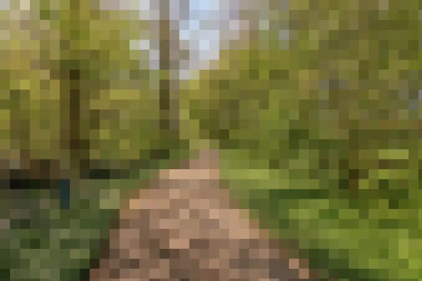 Lange Brink 36 Luttelgeest thumbnail 35