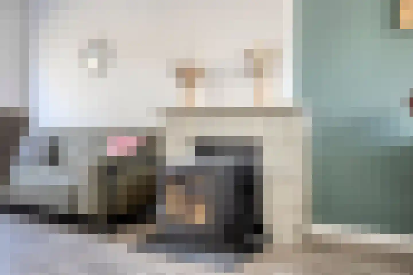 Lange Brink 36 Luttelgeest thumbnail 8