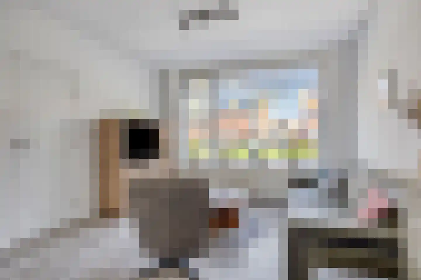 Lange Brink 36 Luttelgeest thumbnail 9