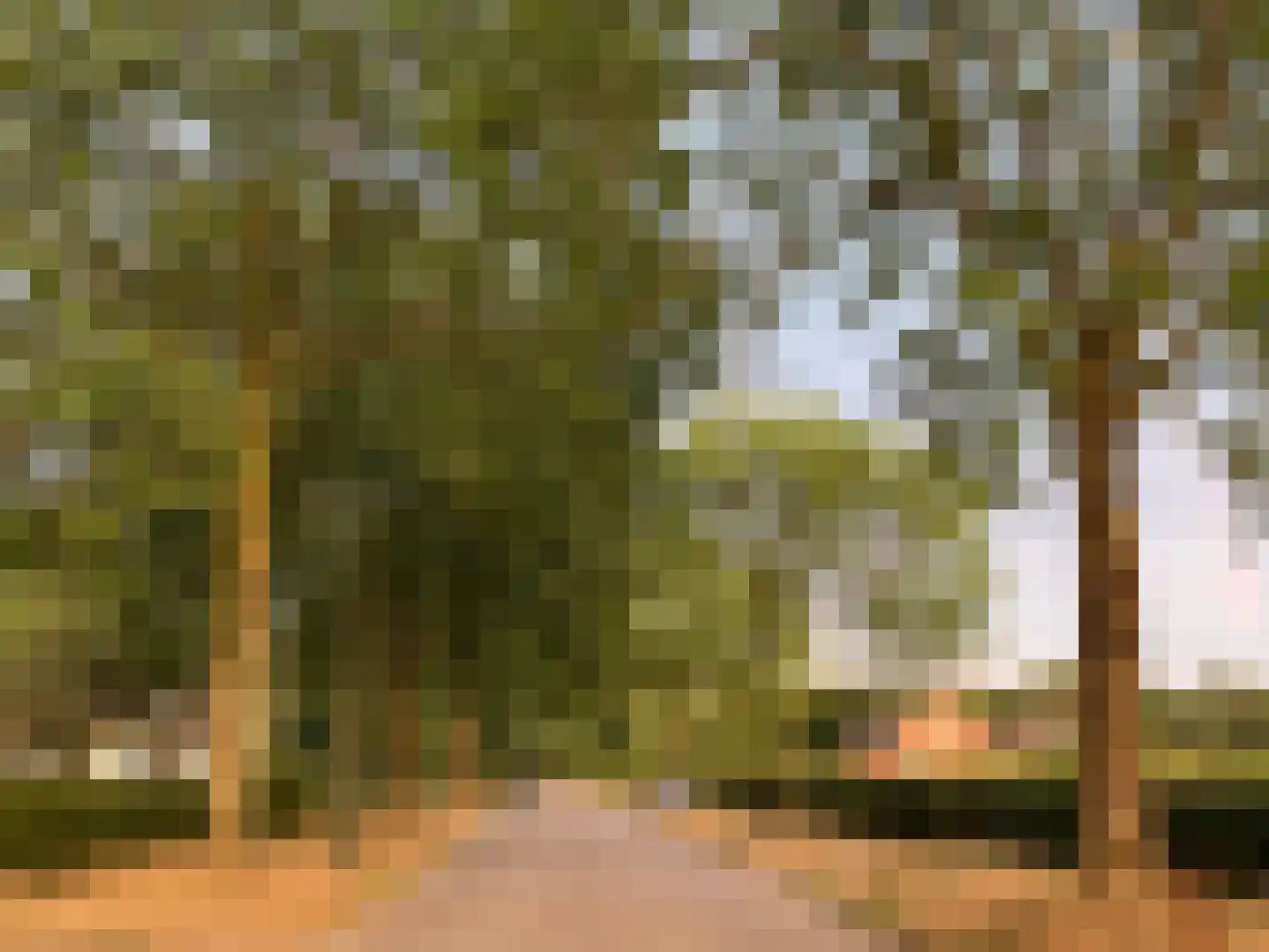 Lange Brinkweg 115 Soest thumbnail 32