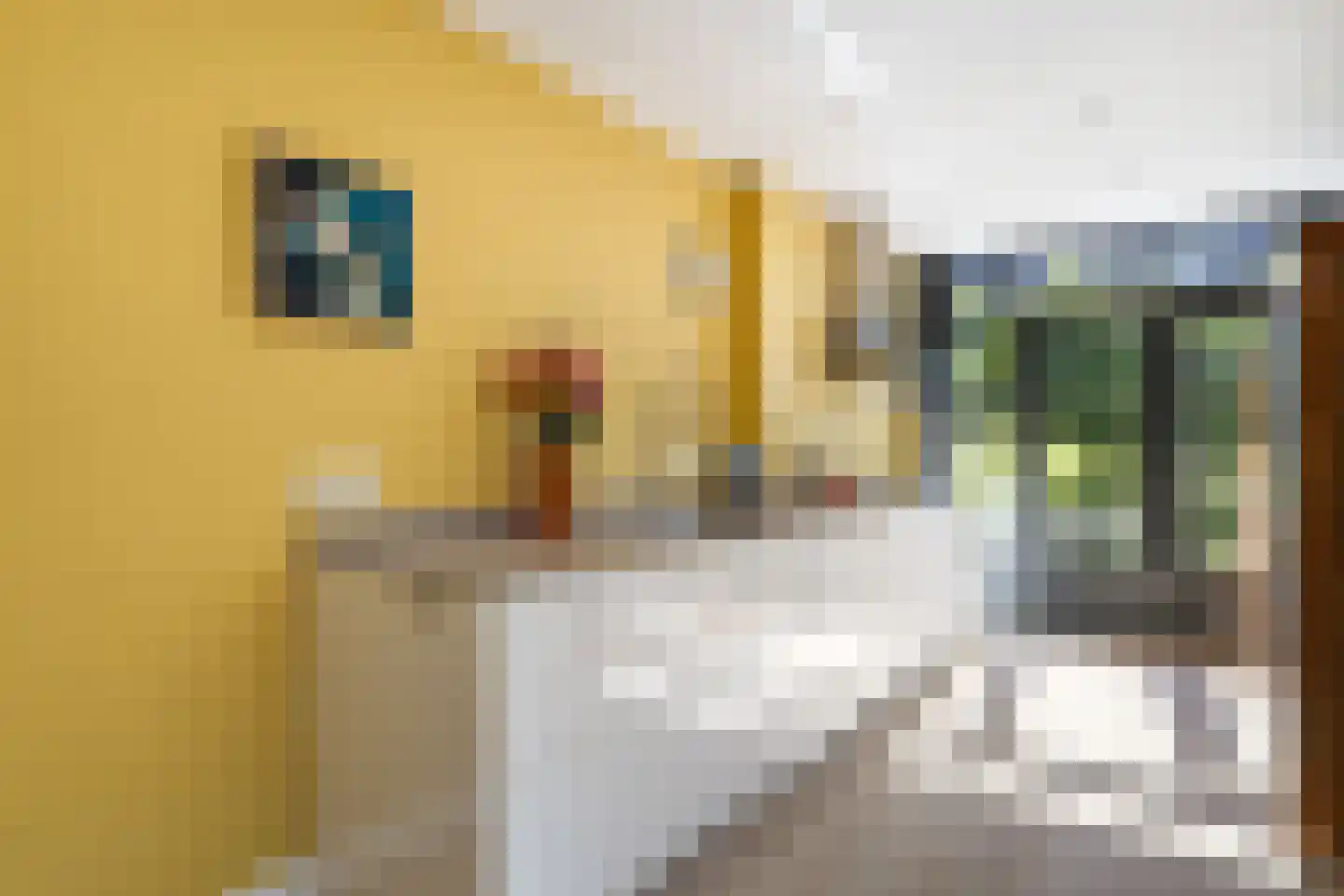 Lange Brinkweg 115 Soest thumbnail 7