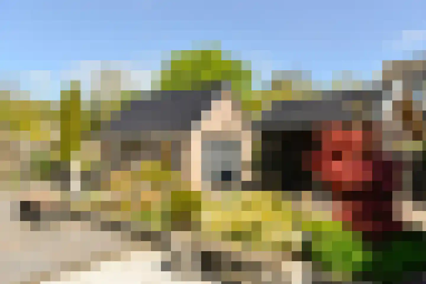 Lange Brinkweg 17 A Soest thumbnail 29