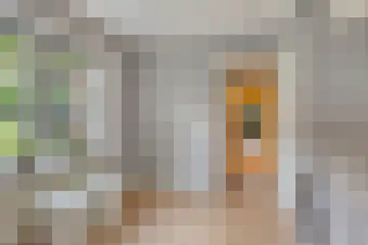 Lange Brinkweg 78 Soest thumbnail 14