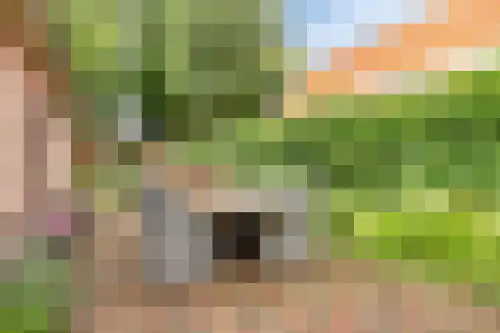 Lange Brinkweg 78 Soest thumbnail 34