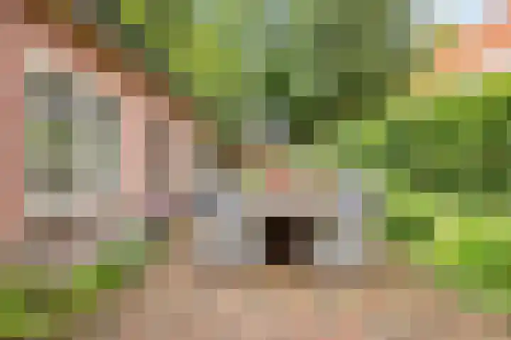 Lange Brinkweg 78 Soest thumbnail 36