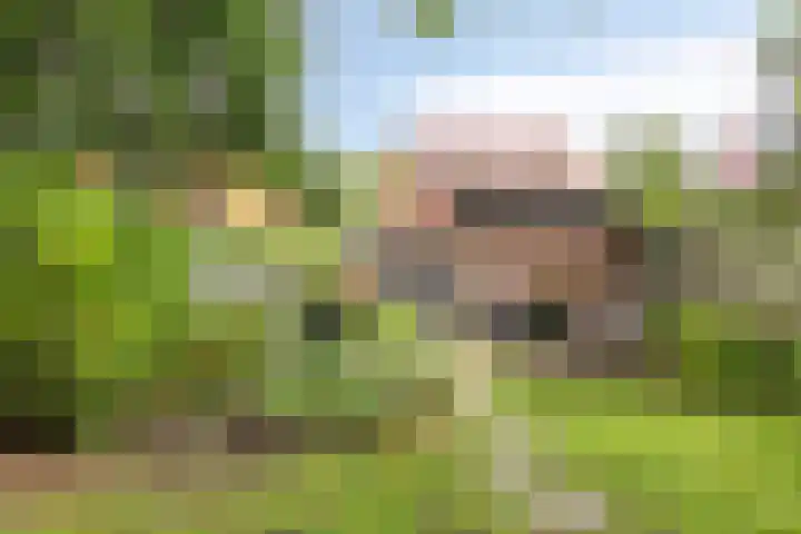 Lange Brinkweg 78 Soest thumbnail 42