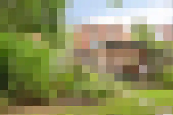 Lange Brinkweg 78 Soest thumbnail 43