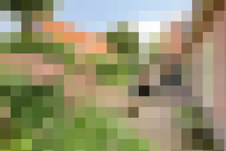 Lange Brinkweg 78 Soest thumbnail 45