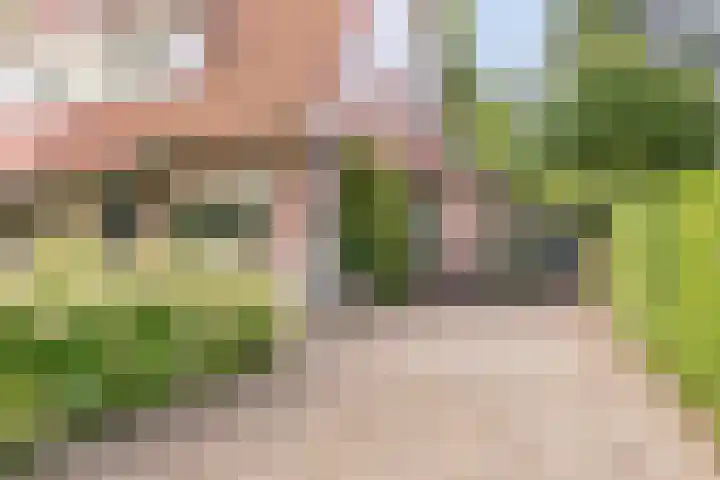 Lange Brinkweg 78 Soest thumbnail 46