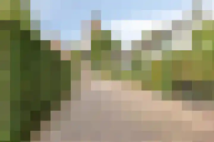 Lange Brinkweg 78 Soest thumbnail 50