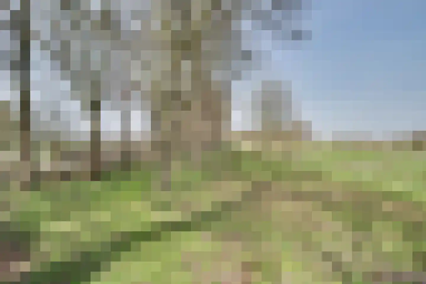 Lange Broekstraat 2 a Raamsdonk thumbnail 100