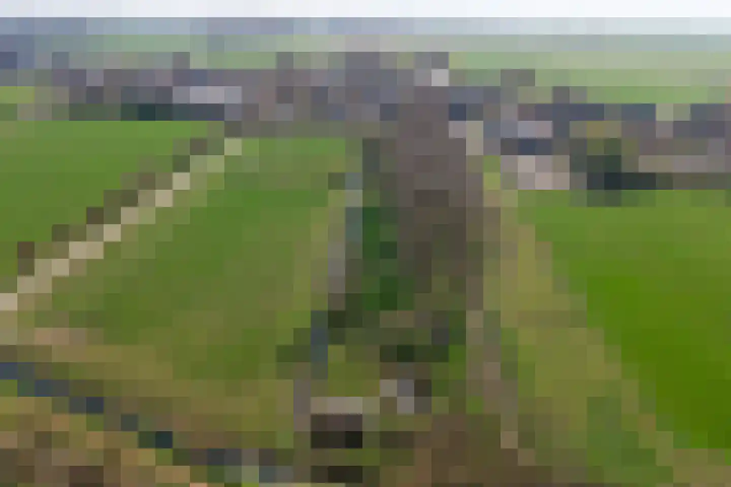 Lange Broekstraat 2 a Raamsdonk thumbnail 109
