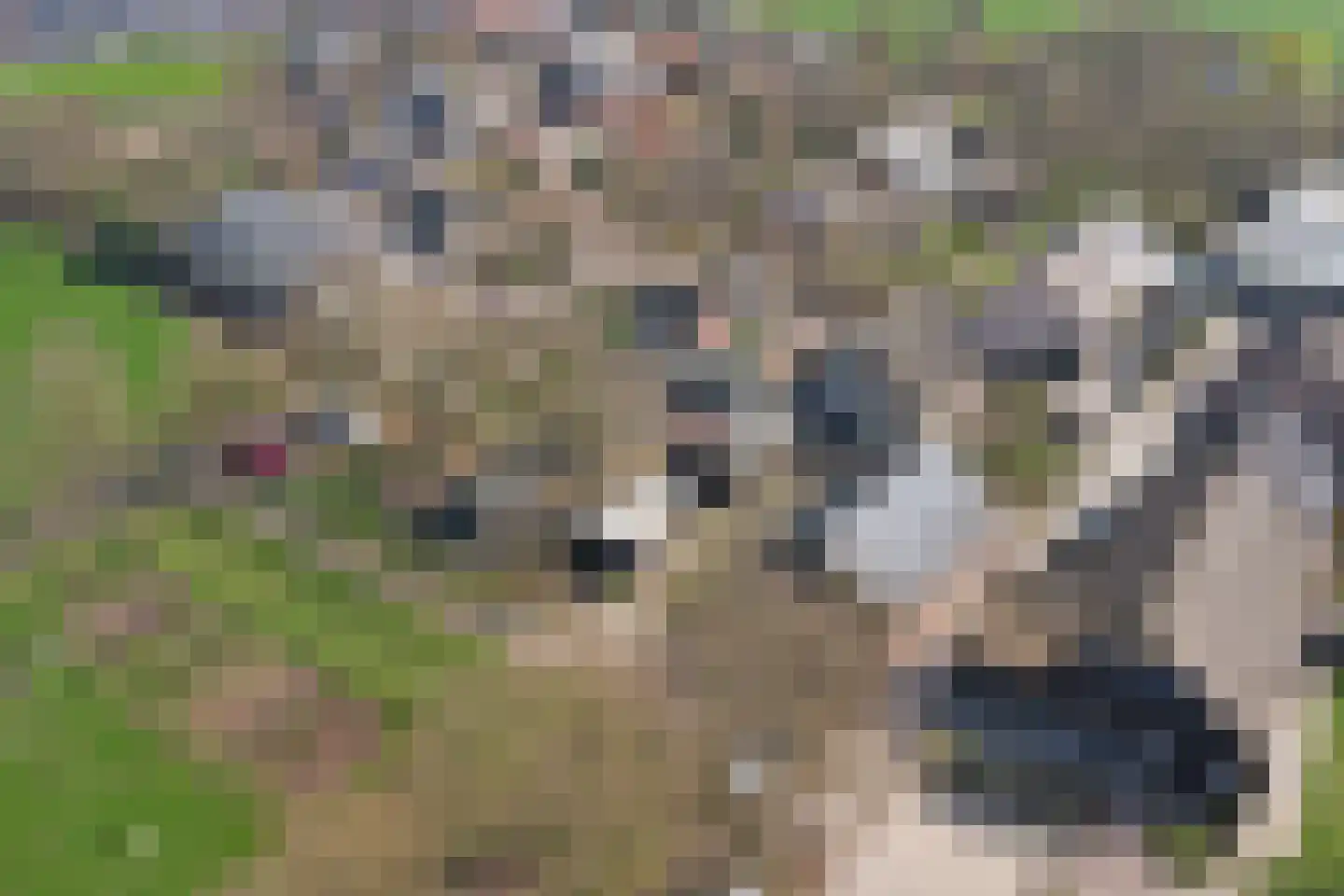 Lange Broekstraat 2 a Raamsdonk thumbnail 110